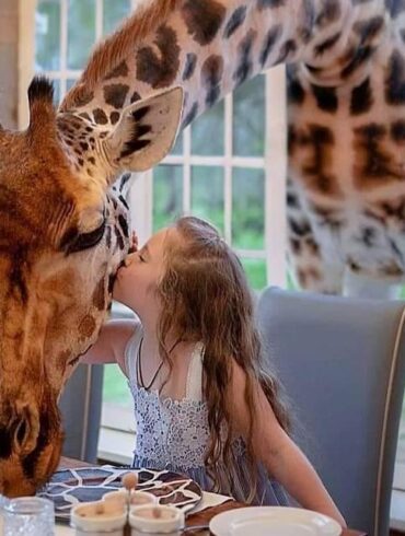 Giraffe Manor - A great travel destination for kids