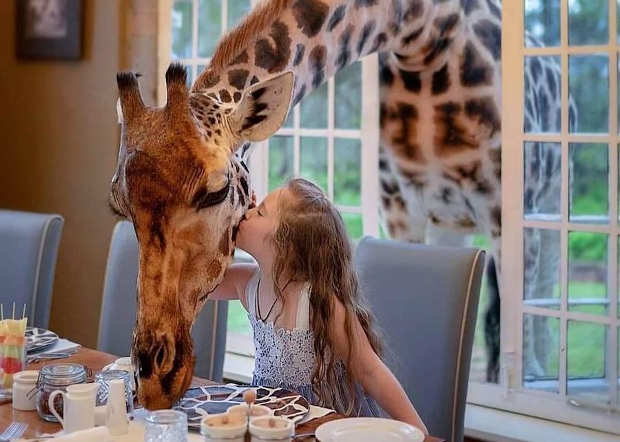 Giraffe Manor - A great travel destination for kids