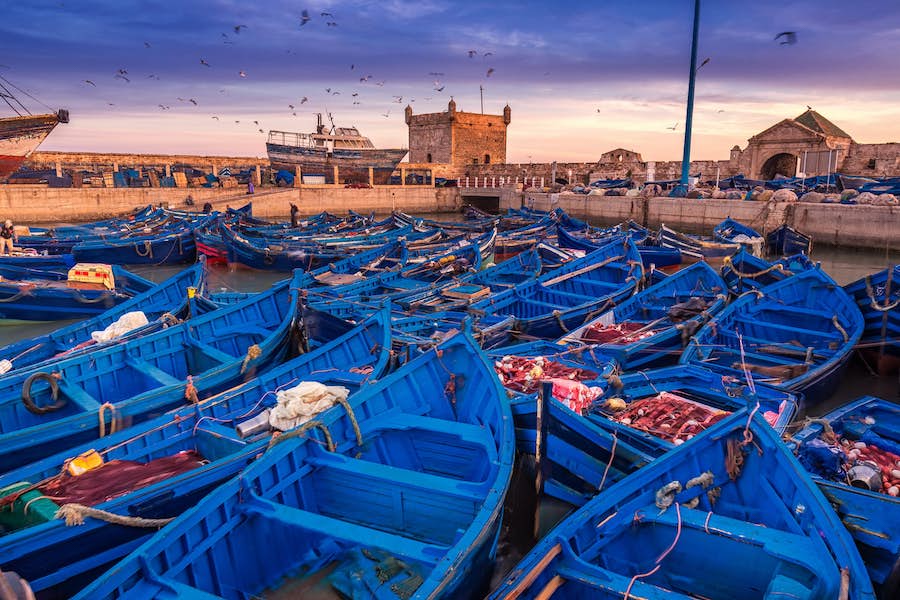 Visit Essaouira